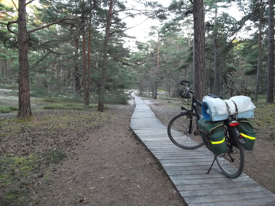 Schweden 2011